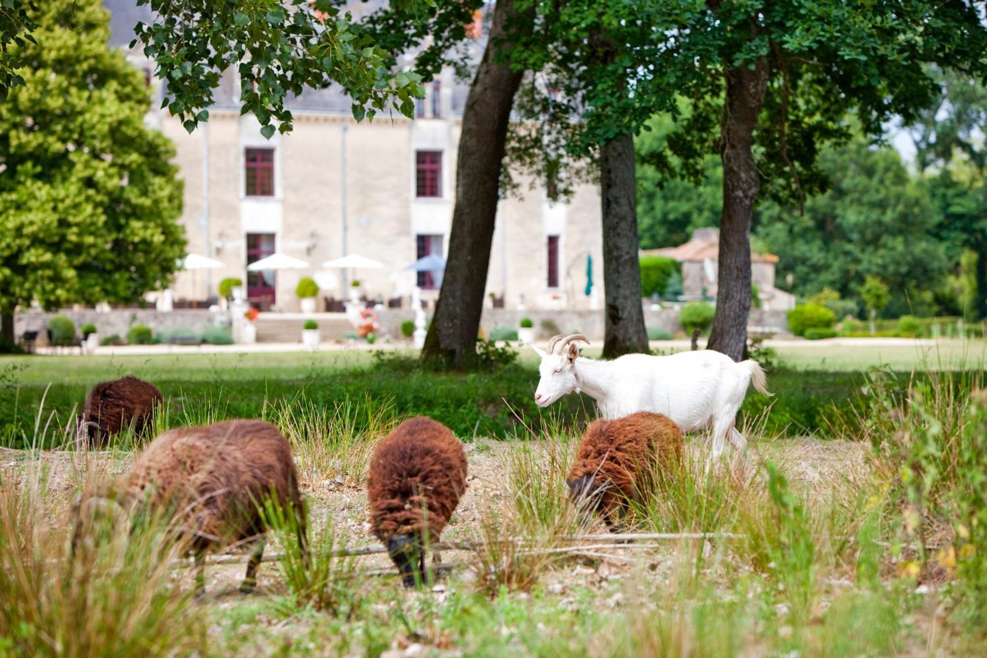 Chateau De La Verie Challans Buitenkant foto