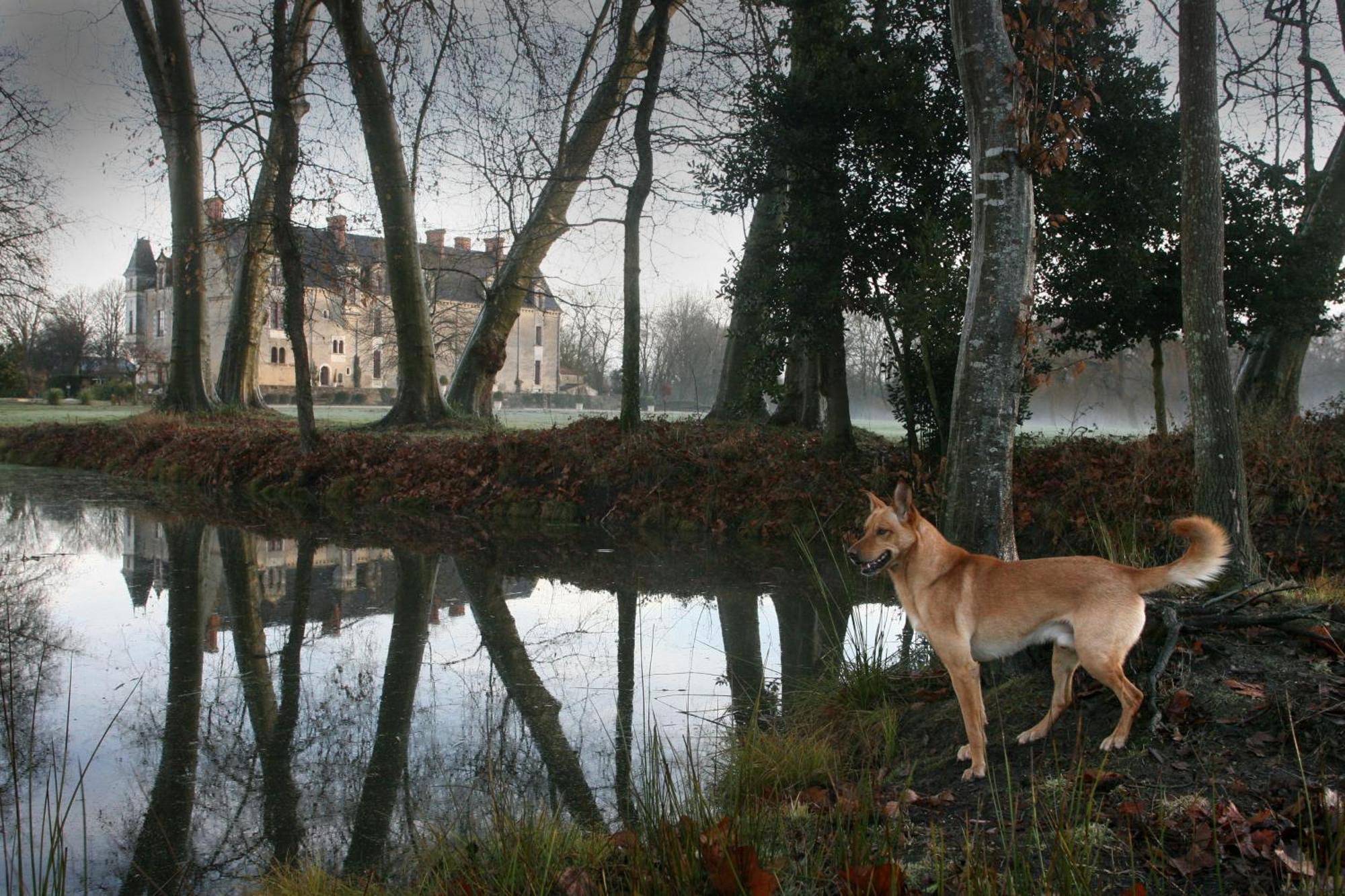 Chateau De La Verie Challans Buitenkant foto